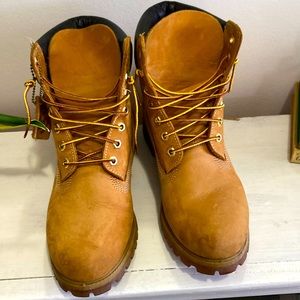 Timberland Men's 6-Inch Premium Waterproof Boot